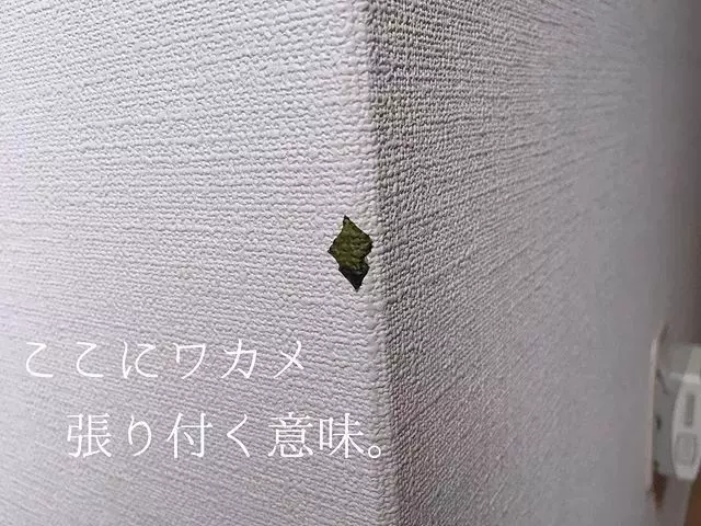一個日本主婦上傳了老公扔的垃圾後,居然吸引了30萬粉絲圍觀...