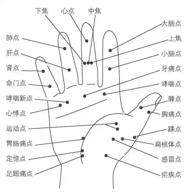 《40個常見病穴位按摩大全》,只發一次,需要的收好了