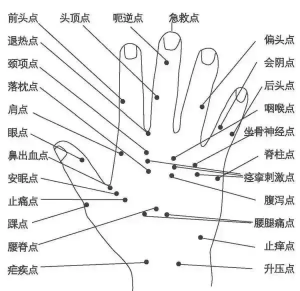 《40個常見病穴位按摩大全》,只發一次,需要的收好了