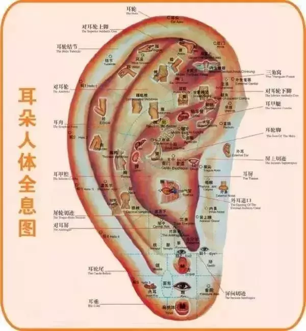 《40個常見病穴位按摩大全》,只發一次,需要的收好了