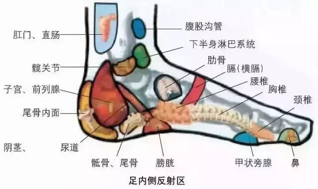 《40個常見病穴位按摩大全》,只發一次,需要的收好了