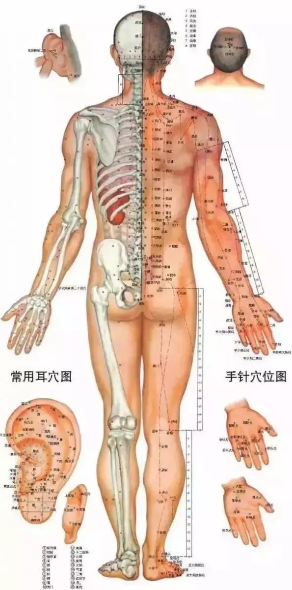 《40個常見病穴位按摩大全》,只發一次,需要的收好了