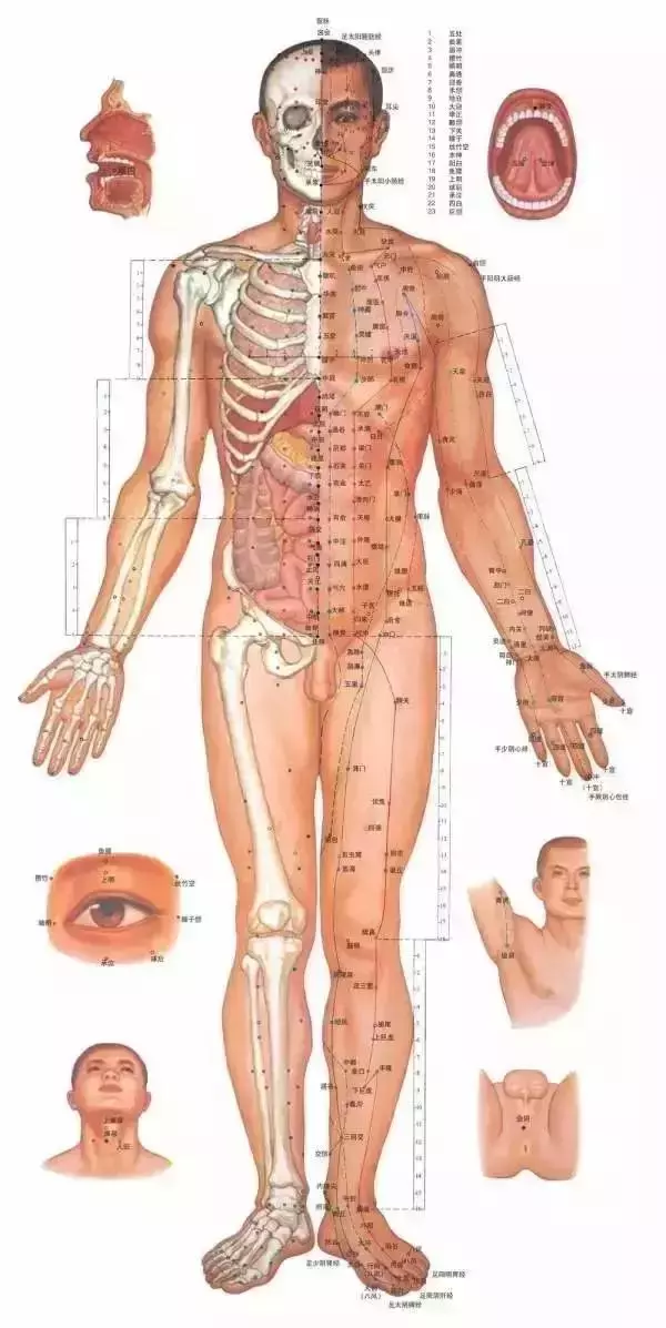 《40個常見病穴位按摩大全》,只發一次,需要的收好了