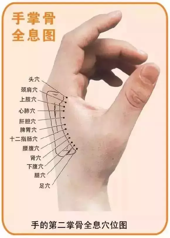 《40個常見病穴位按摩大全》,只發一次,需要的收好了