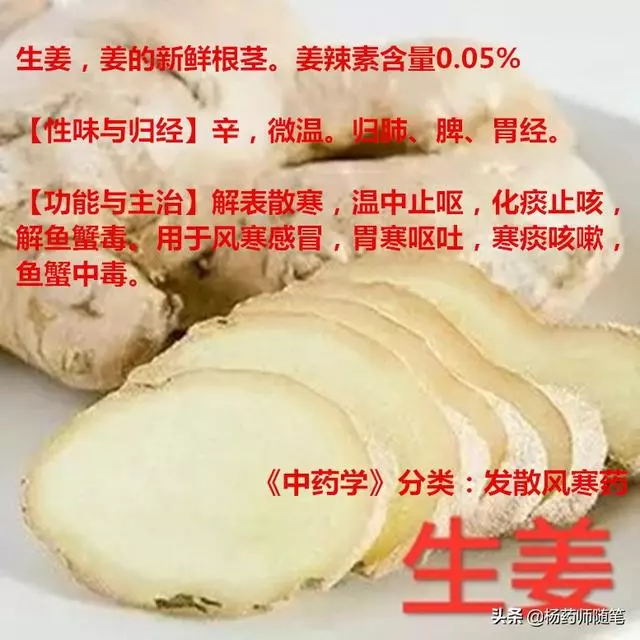 吃什麼姜?我們不一樣!區別生薑、乾薑和炮姜