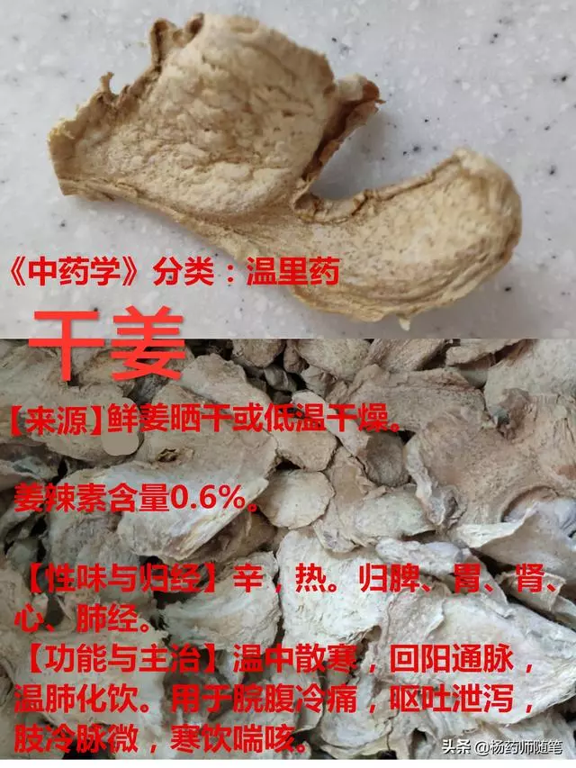 吃什麼姜?我們不一樣!區別生薑、乾薑和炮姜