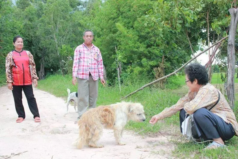 走失汪「路邊等主人」一等4年!終於重逢牠卻「還是不肯走」:我想留在這~~