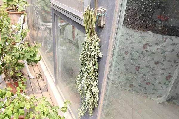 秋季,用艾葉泡澡雖好處多,但有個缺點或讓不少人都難以接受