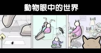 15張深度黑色幽默動物黑暗面漫畫!