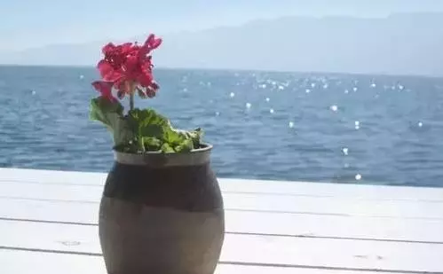 心理測試:你會喝哪一杯飲料?測別人眼裡你是哪種人