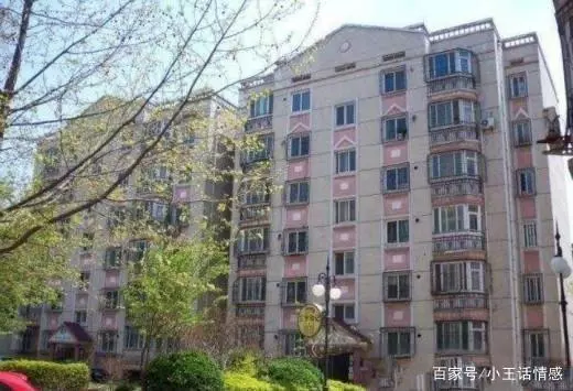 兒子在家當起了奶爸,引發婆婆的不滿,兒媳說番話婆婆淚目