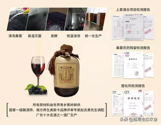 肝「堵」會致命!教你如何巧用桑葚疏通救命