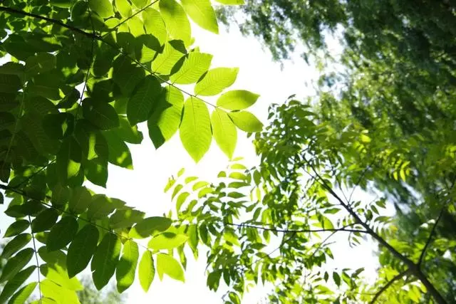 妻子患癌,晚期,丈夫讓放棄?哎……