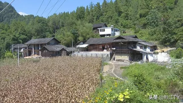 母愛如山,她用20深情呼喚,喚醒了「植物人」兒子
