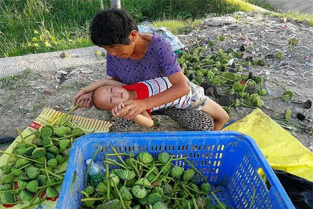 自律的家長才能教育出好孩子?60歲奶奶接孫子,穿著旗袍引人關注
