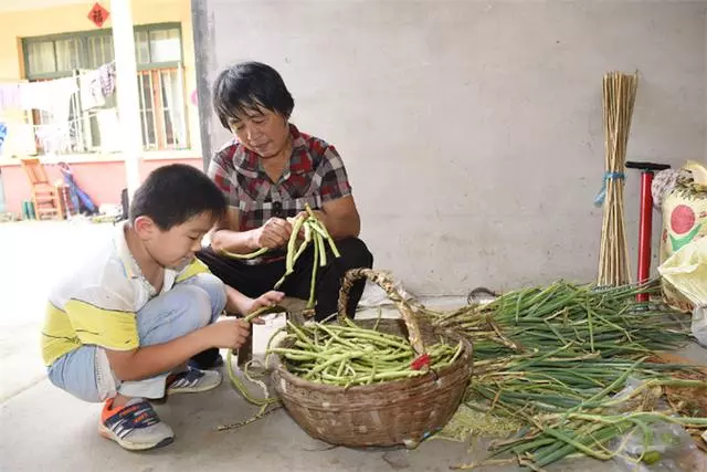 自律的家長才能教育出好孩子?60歲奶奶接孫子,穿著旗袍引人關注