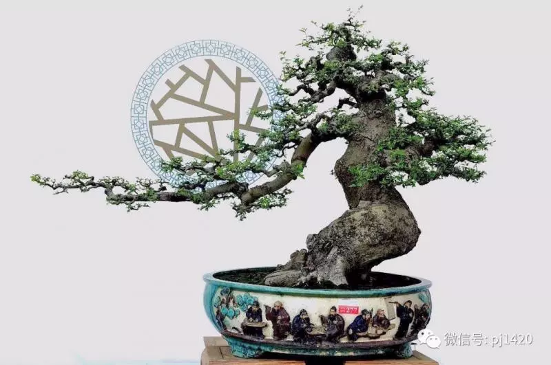 做飄枝,這些方法一定要知道!