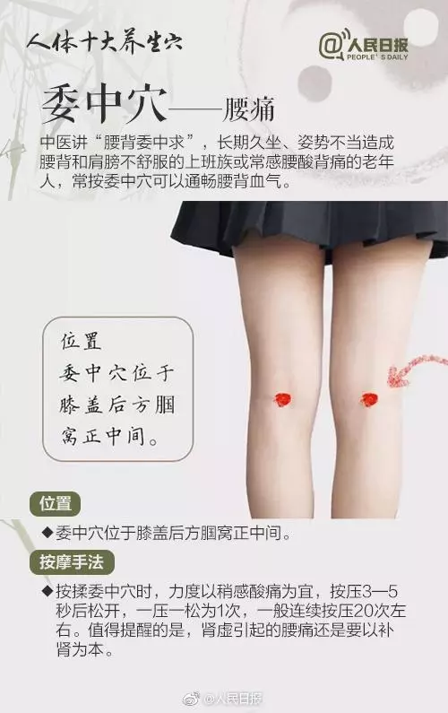 簡單有效!十個中醫最愛用的「養生穴」,穴位就是藥
