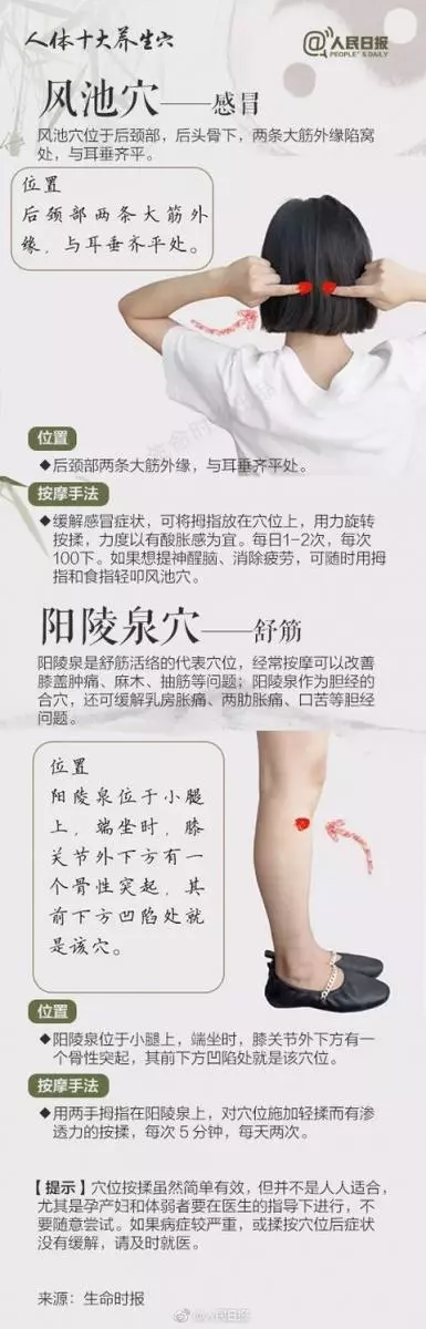 簡單有效!十個中醫最愛用的「養生穴」,穴位就是藥