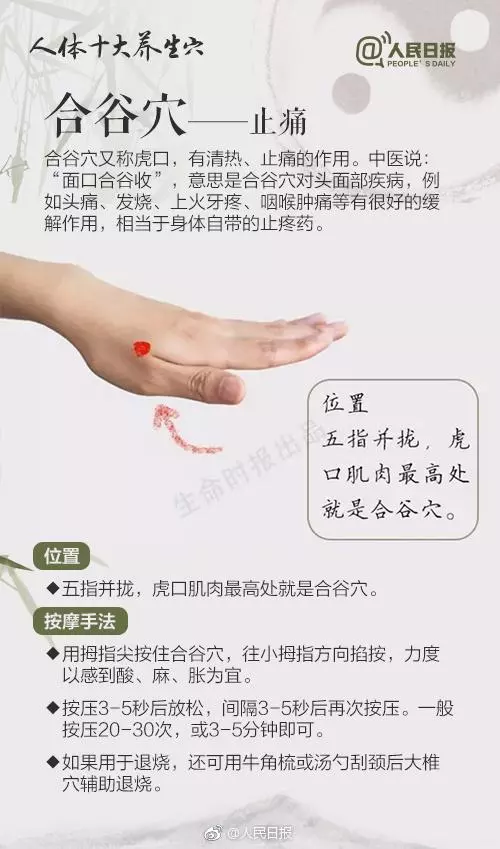 簡單有效!十個中醫最愛用的「養生穴」,穴位就是藥