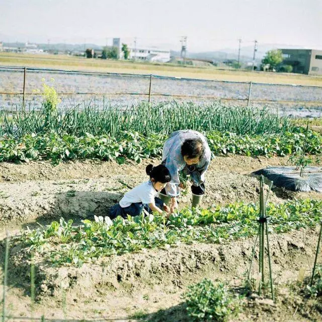 跨越四代祖孫情!84歲曾祖母與曾孫女的「農村生活」,「平凡就是幸福」珍惜眼前人~
