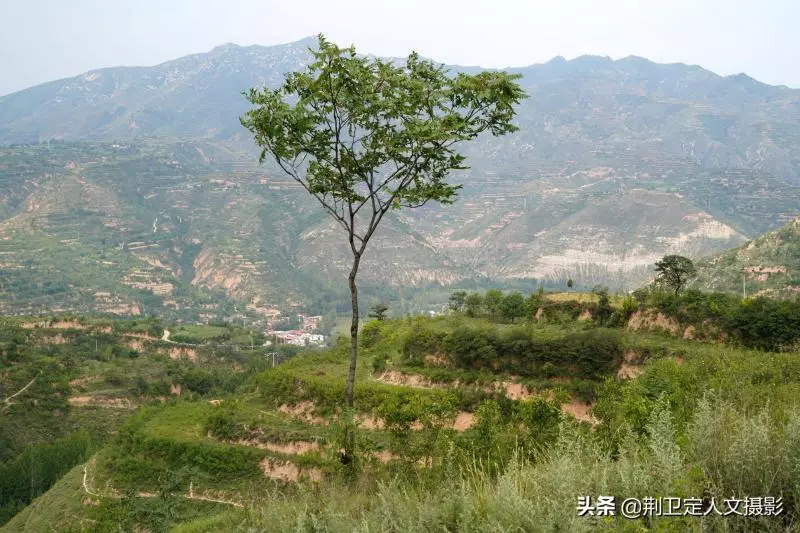 15歲結婚「育7兒女」丈夫走後80歲老奶奶獨居,子女皆有成就「30年堅持小酌」身體硬朗每天耕作