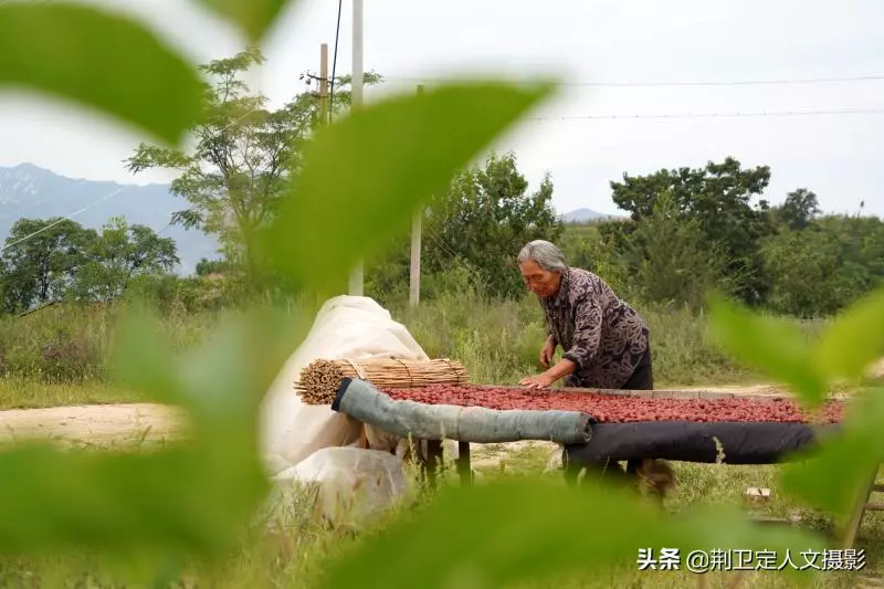 15歲結婚「育7兒女」丈夫走後80歲老奶奶獨居,子女皆有成就「30年堅持小酌」身體硬朗每天耕作