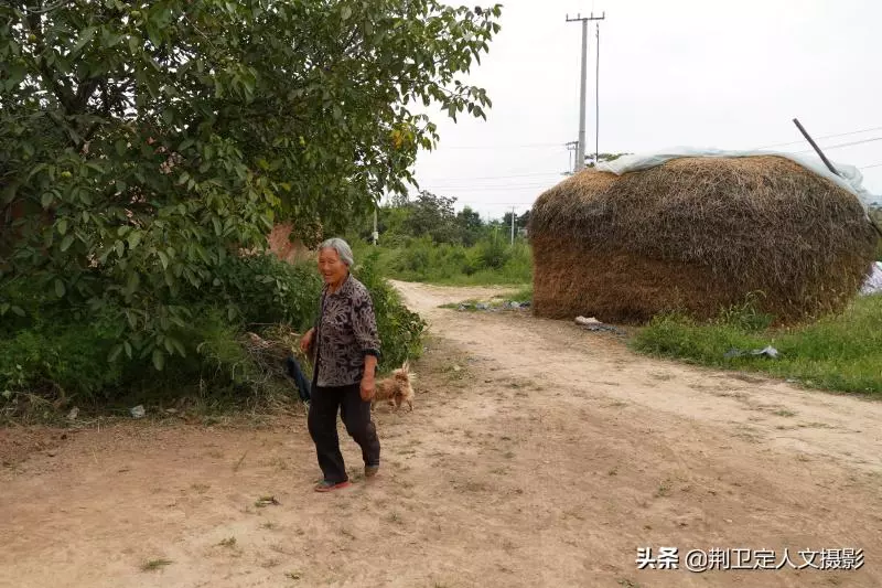 15歲結婚「育7兒女」丈夫走後80歲老奶奶獨居,子女皆有成就「30年堅持小酌」身體硬朗每天耕作
