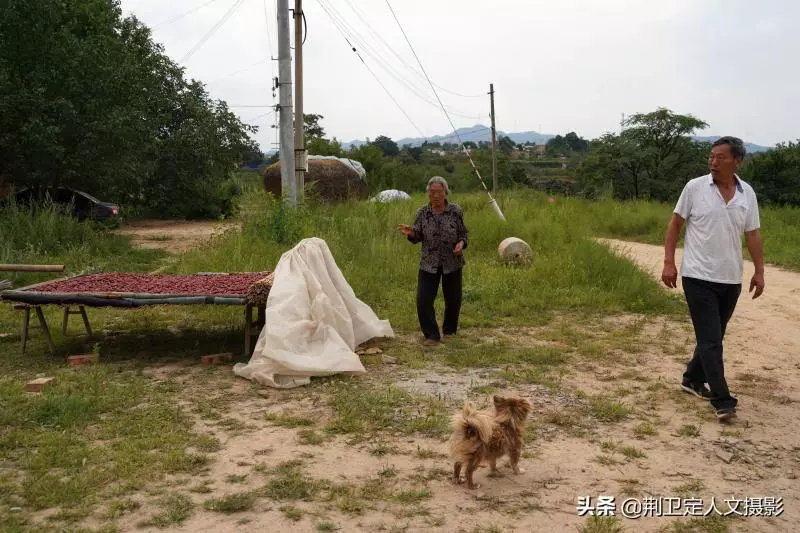 15歲結婚「育7兒女」丈夫走後80歲老奶奶獨居,子女皆有成就「30年堅持小酌」身體硬朗每天耕作