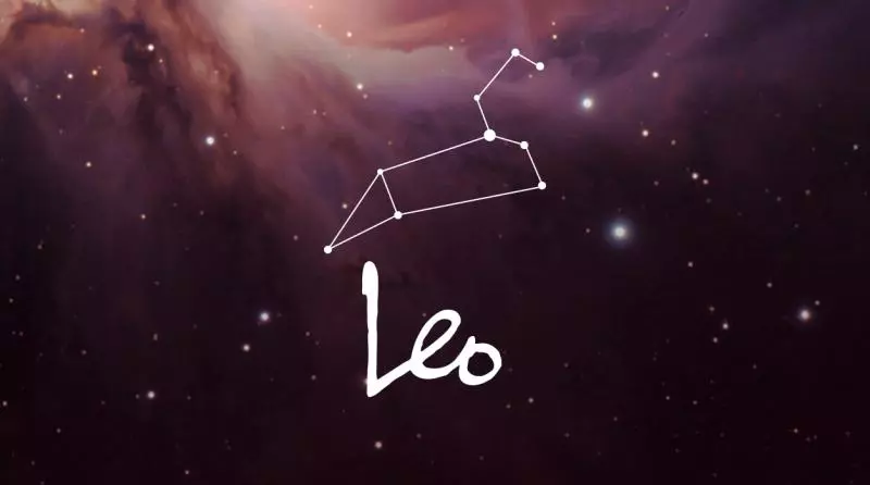 愛上一個人就會義無反顧的星座