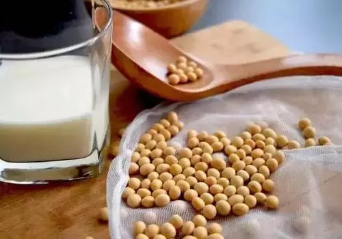 熱豆漿放保溫杯裡，會變質？不管豆漿還是茶，都可以放心