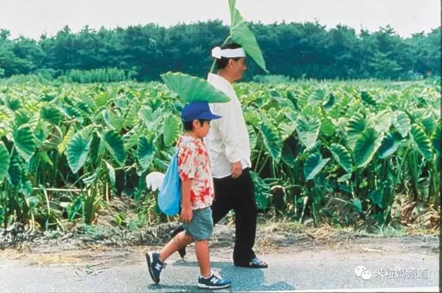 分房14年不怕外遇,李㼈寵妻陪逛街,看到喜歡的就買!