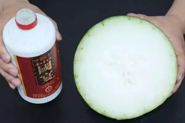 把白酒塗在冬瓜上,作用真厲害,解決了很多家庭主婦的煩惱