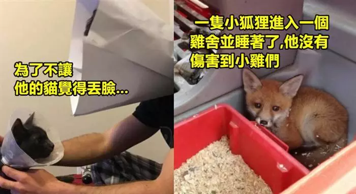 20張會「讓你心情稍微變好」的超暖真實照片!