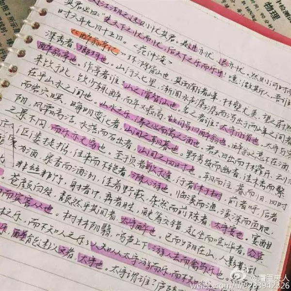 女考生「學測滿分被封學霸」爆紅!不僅人正,筆記也是一絕,網讚:「滿分不是沒有原因」!