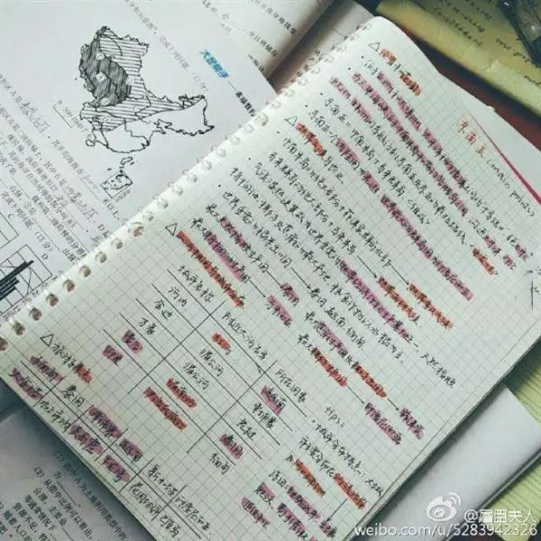 女考生「學測滿分被封學霸」爆紅!不僅人正,筆記也是一絕,網讚:「滿分不是沒有原因」!