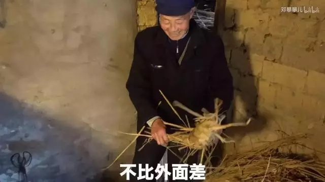 24歲男孩「隱居鄉村種田養雞」陪外公生活!祖孫天天「攜手唱歌做飯」享受日常:其實大家也做得到~~