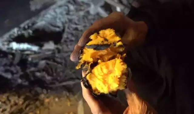 24歲男孩「隱居鄉村種田養雞」陪外公生活!祖孫天天「攜手唱歌做飯」享受日常:其實大家也做得到~~