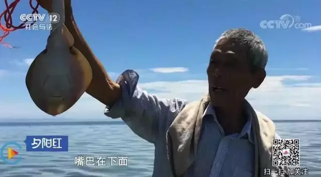 重生之旅!帶70歲重症父「花88天走完最後旅程」,病情意外好轉「補求婚」盼再陪老伴70年!