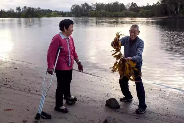 重生之旅!帶70歲重症父「花88天走完最後旅程」,病情意外好轉「補求婚」盼再陪老伴70年!