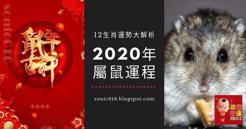 2020年12生肖運勢大解析 - 屬鼠