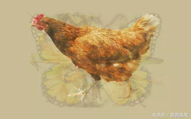 心理測試!你第一眼看到的動物?據說就能測出你是怎樣的人!