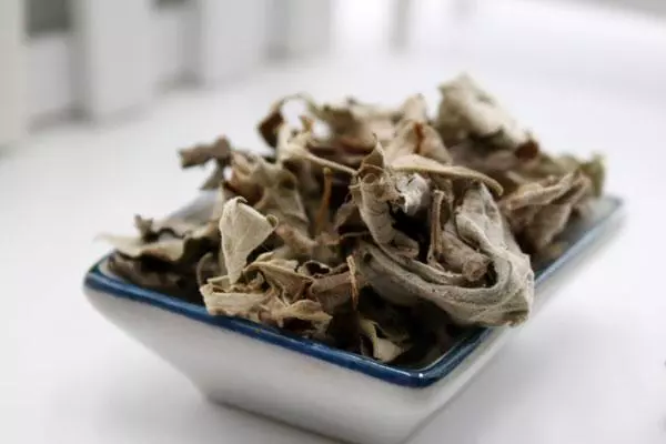 每天堅持用艾草洗頭泡腳,身體有哪些喜人改變?