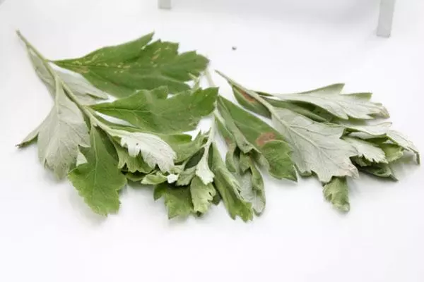 每天堅持用艾草洗頭泡腳,身體有哪些喜人改變?