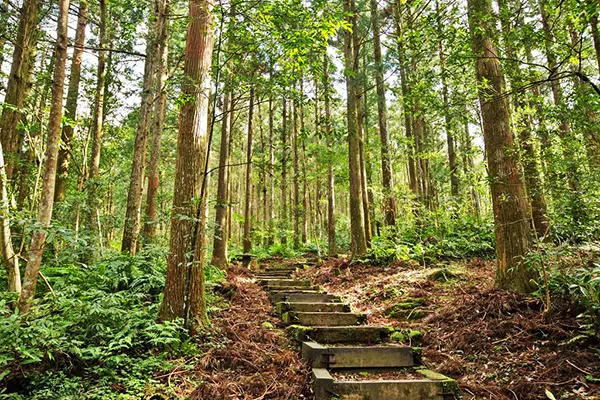 桃園療癒一日遊!六大自然景點
