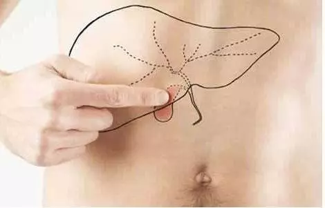 不小心囤積太多護手霜和乳液,過期只能丟掉?別太浪費了,它們的「妙用」可大著呢!