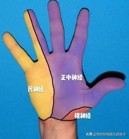 手指麻木疼痛,夜間加重,白天減輕,很可能是這兩種問題惹的禍