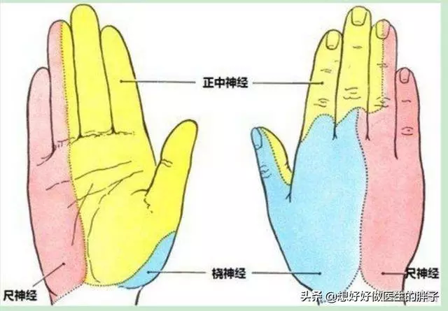 手指麻木疼痛,夜間加重,白天減輕,很可能是這兩種問題惹的禍