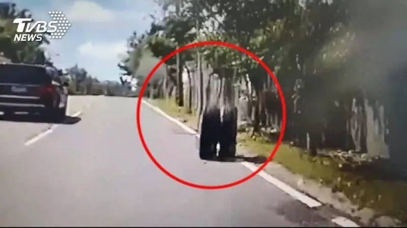 超驚險!砂石車疑輪軸斷輪胎砸遊覽車。真的就差那麼一點點,駕駛差點被輪胎砸中!