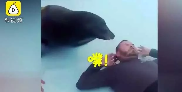 海獅工讀生身份曝光 對飼養員惡作劇還「哈哈哈」大笑離場